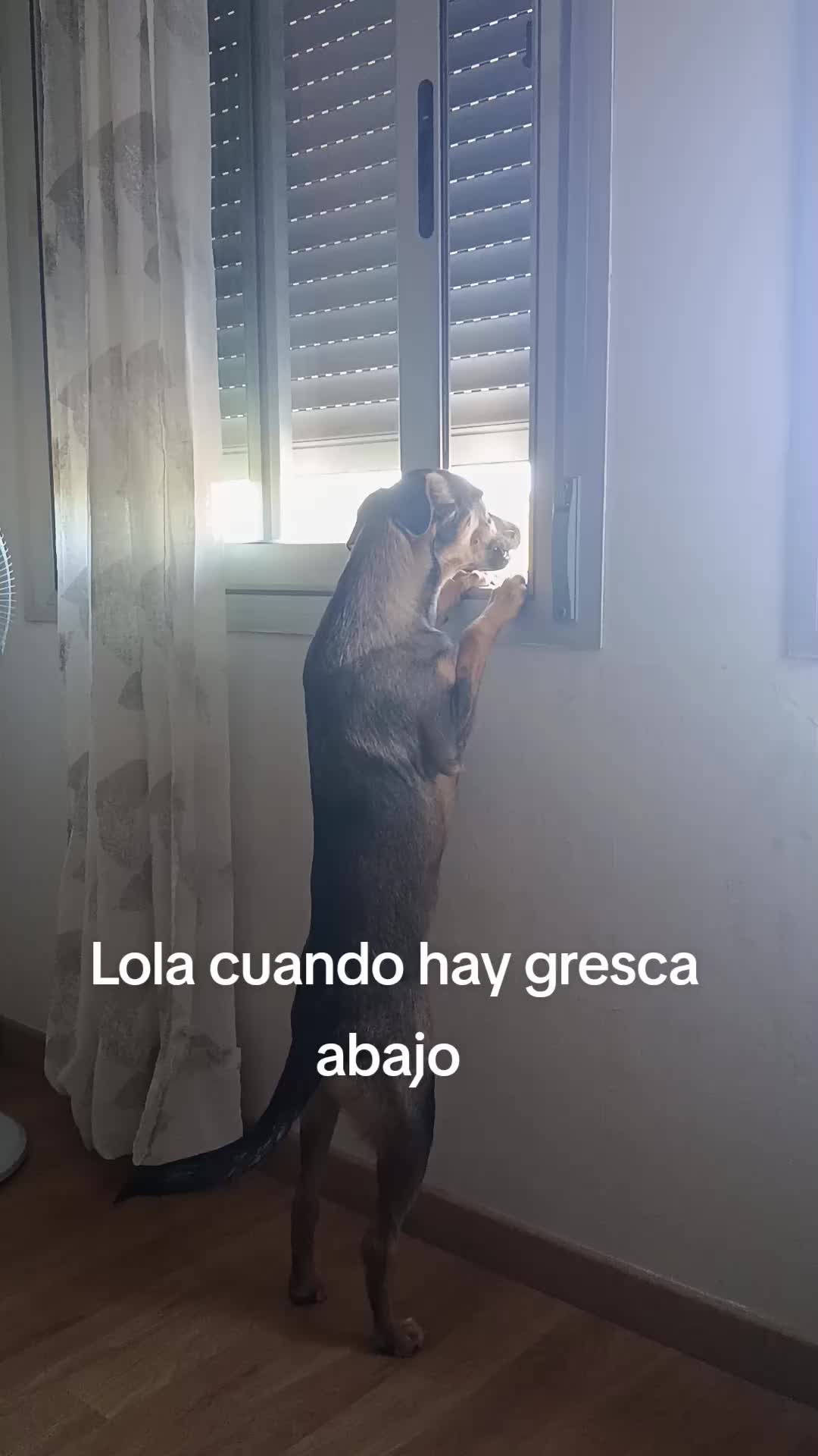 @Yasmina Lopez