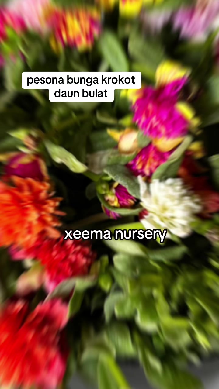 @Xeema_Nursery