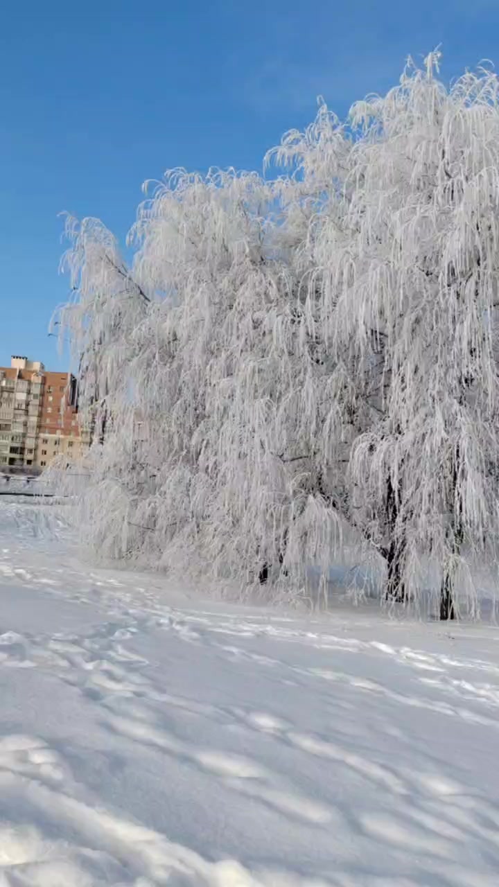 @Дарья 😏😘💅🤙