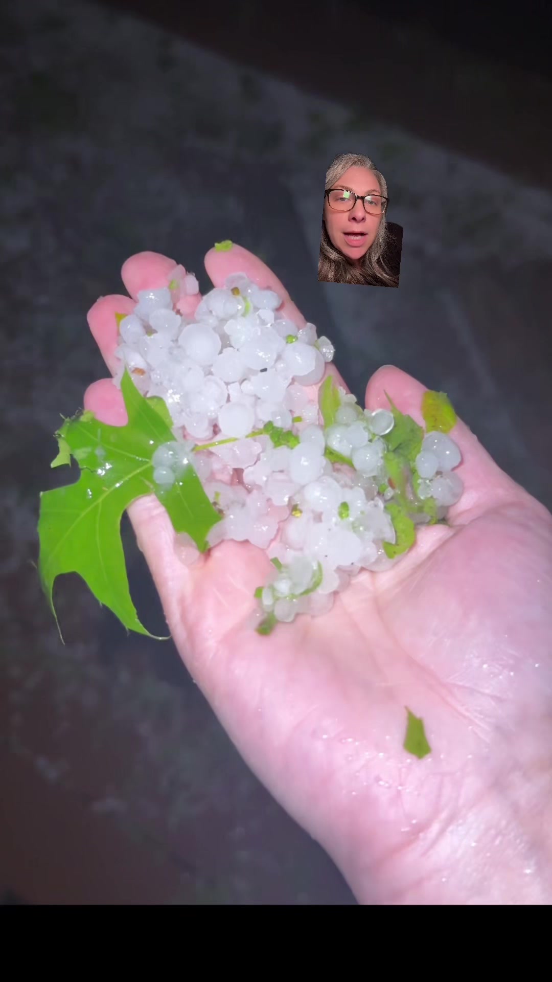 @sarahgrayandtall