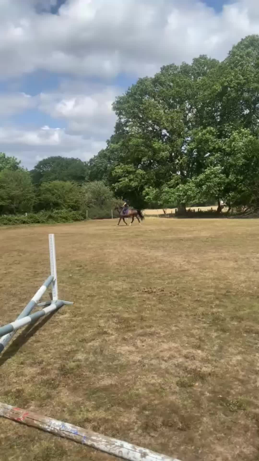 @Kitty equestrian.