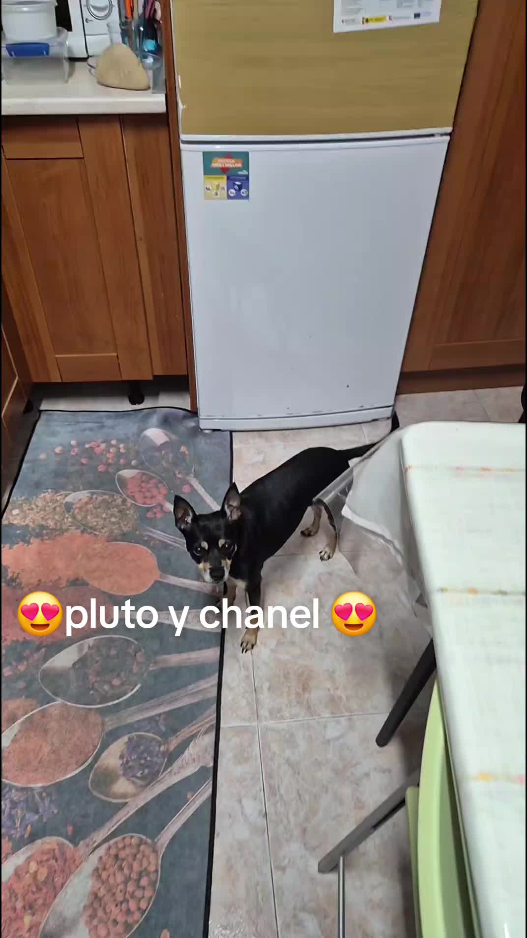 @AntoCM💕