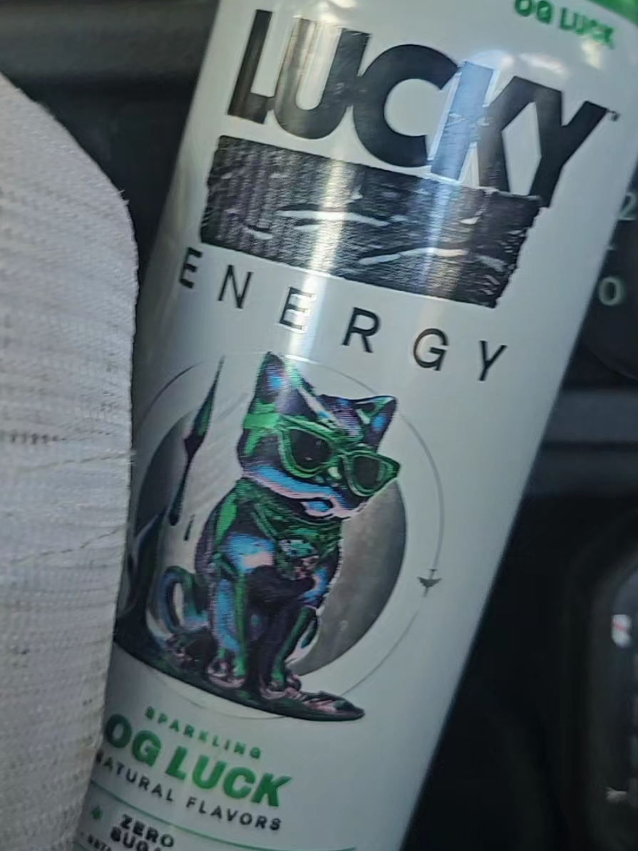 @chinchillagod