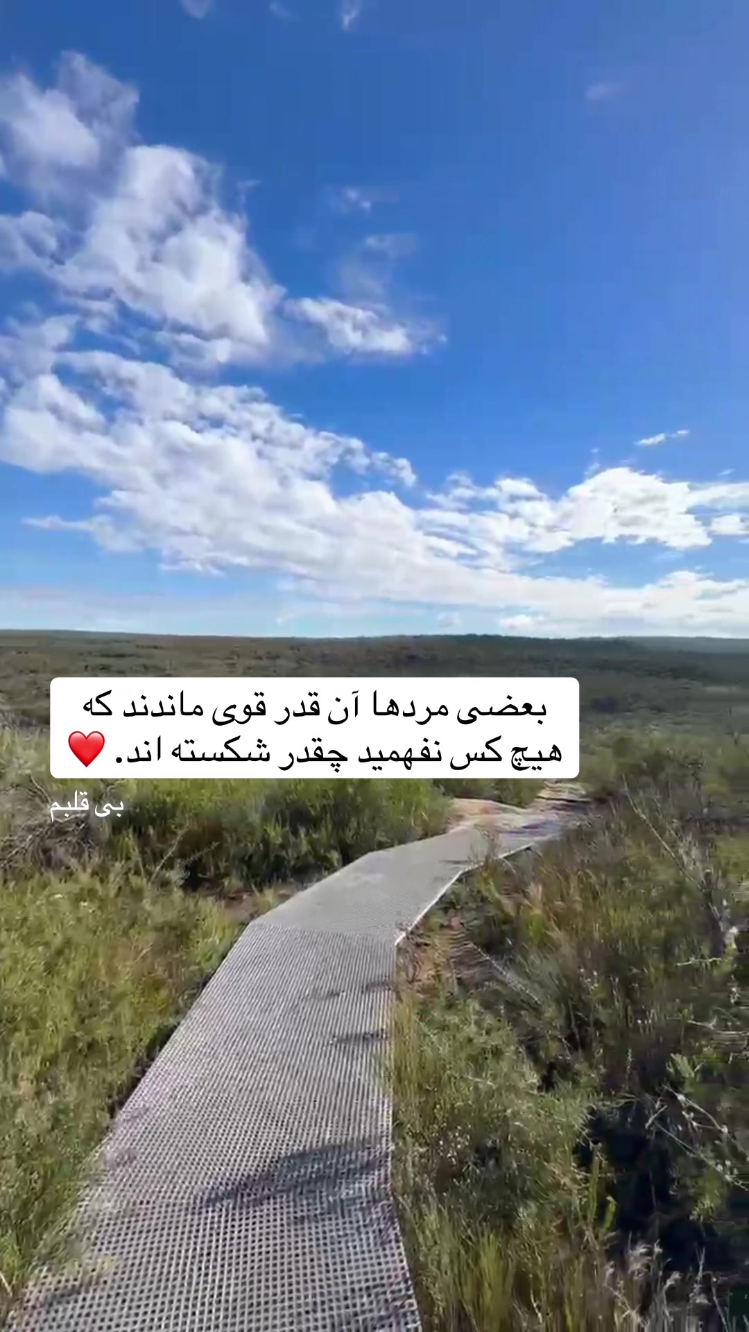@afg.gril ᥫ᭡. 𝄞