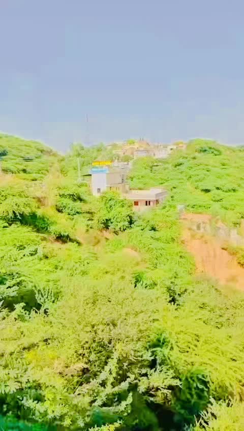 @farazmultani13