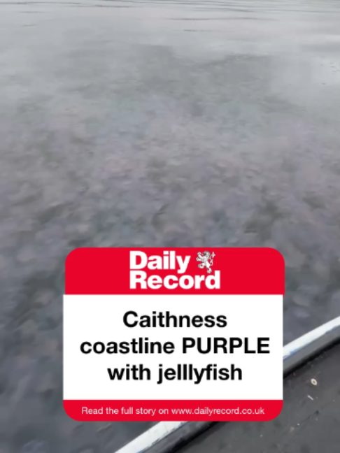@Daily Record