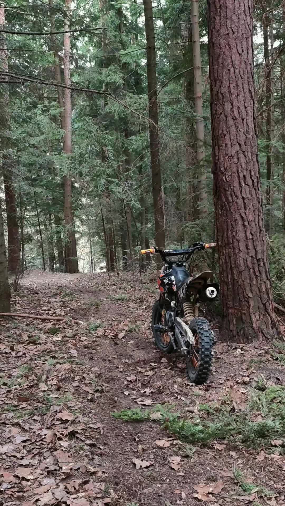 @👍🏻