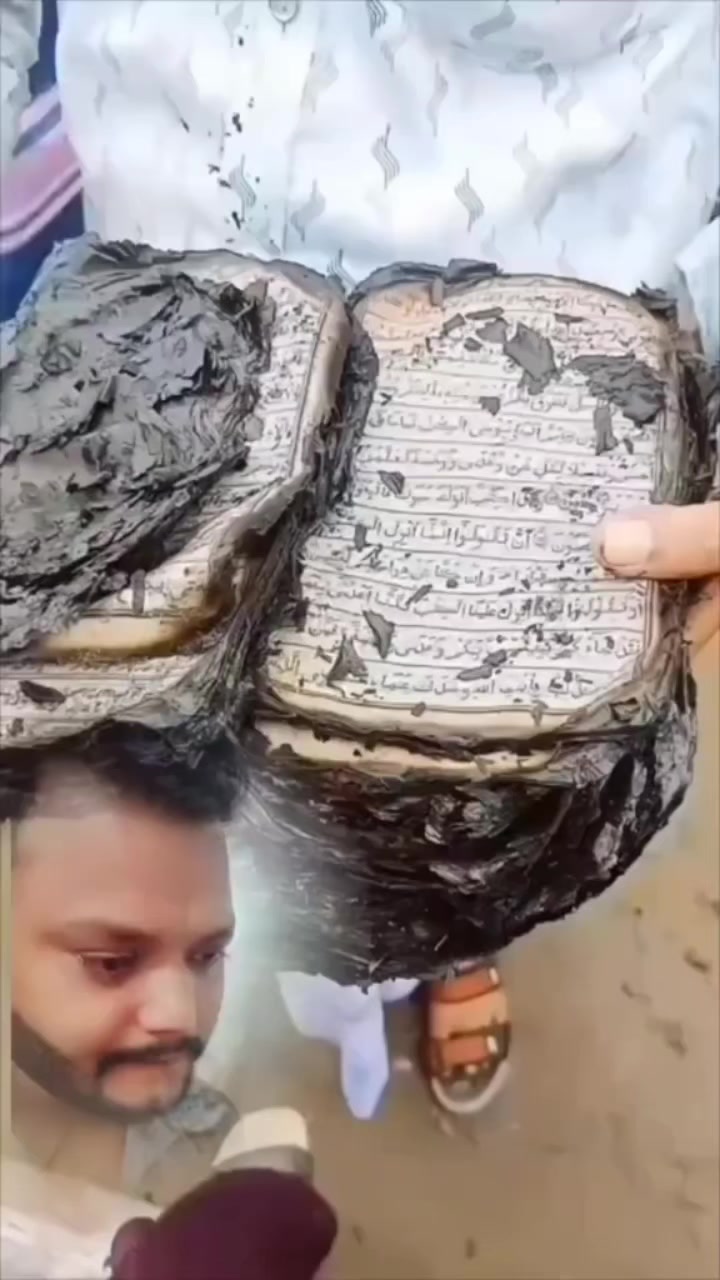 @⎯͢⎯⃝𝑅𝑎𝑠𝑒𝑙 ≛⃝𝑽𝒂𝒚🐦⎯͢⎯🔴