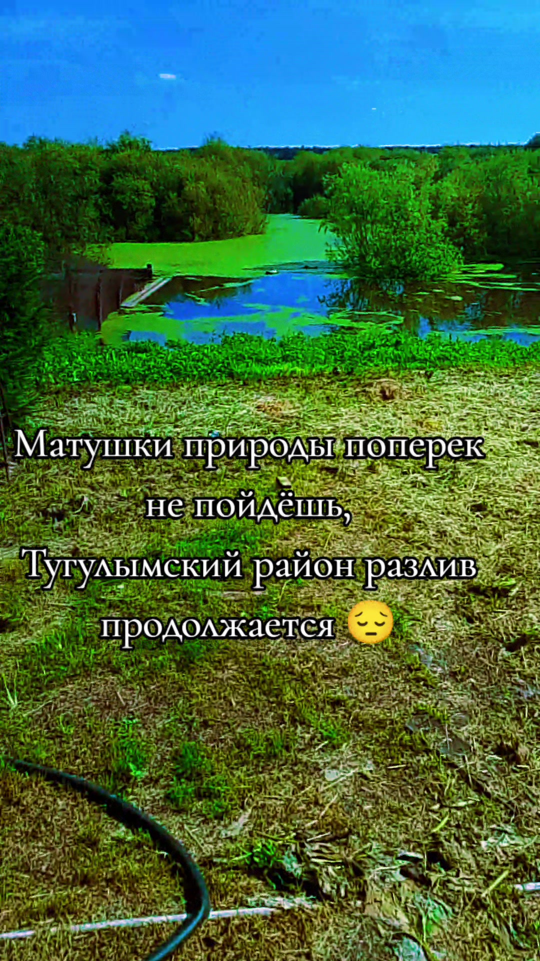 @Антонина Сергеевна 🙃😉