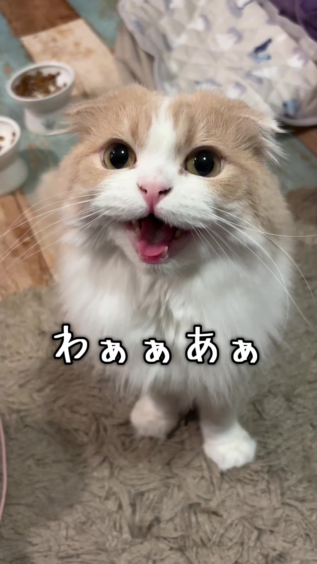 @くるラテ