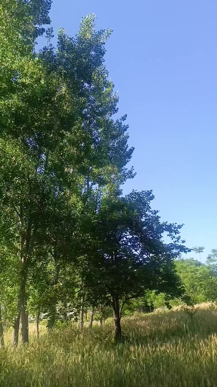 @AKhondi
