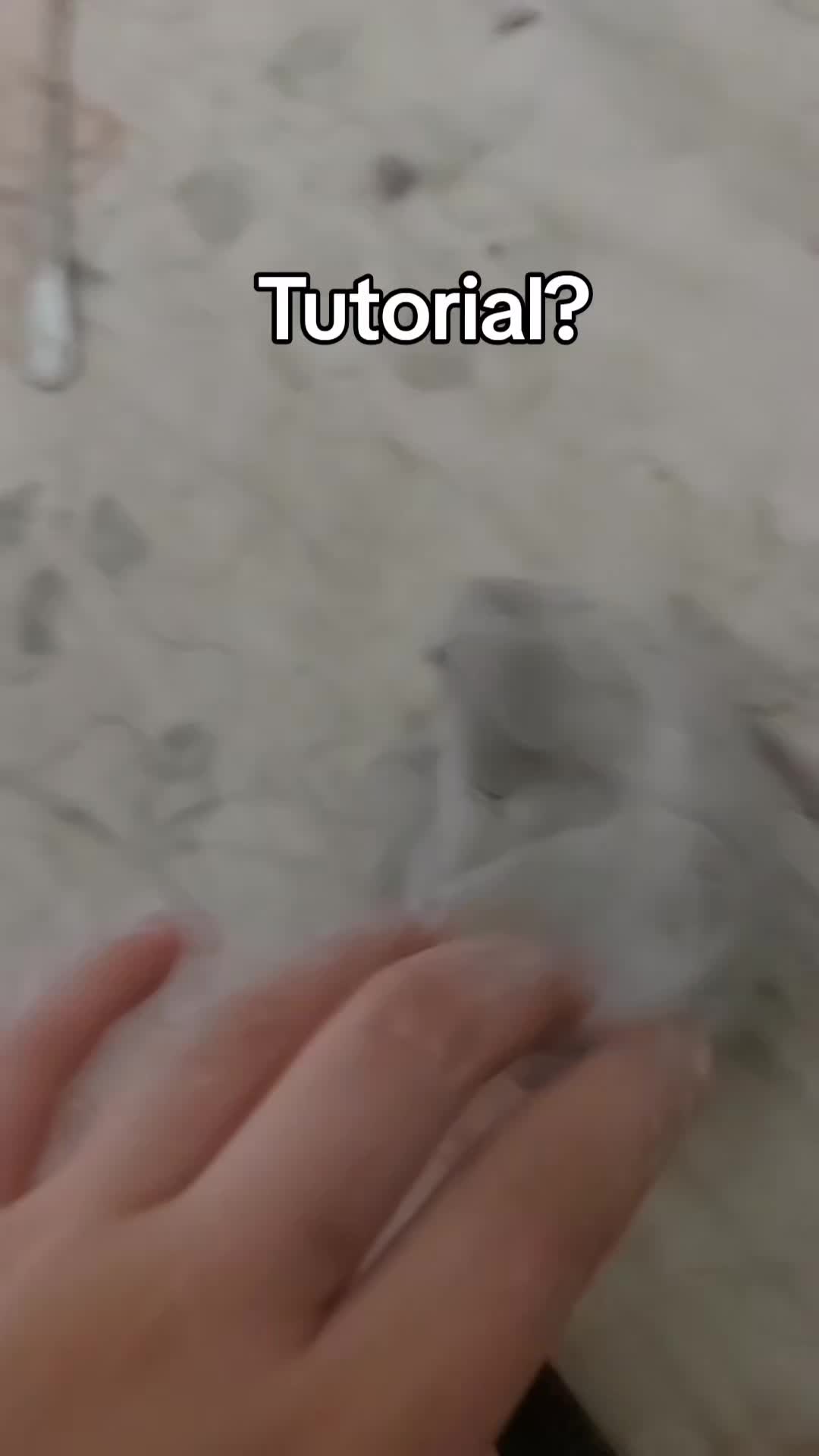 @Arianna stefanelli 🫶