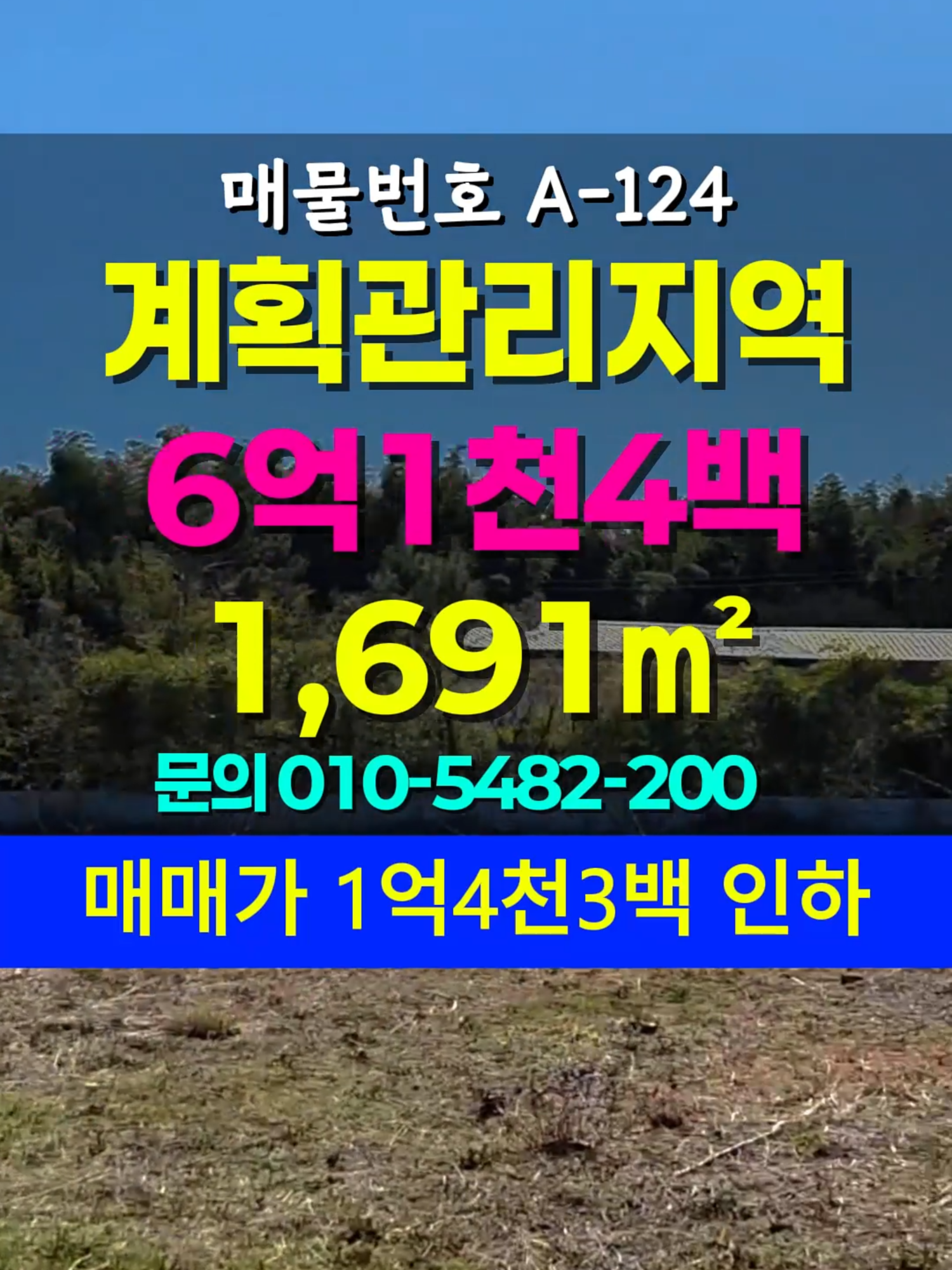 @부동산 전문가 박미란