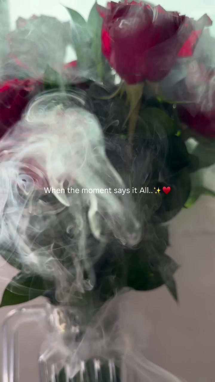 @𝑨ѕ𝐚𝐝📸║اسد