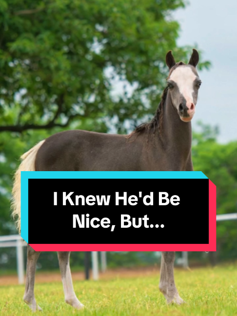 @Dr.Nicole-VetMed