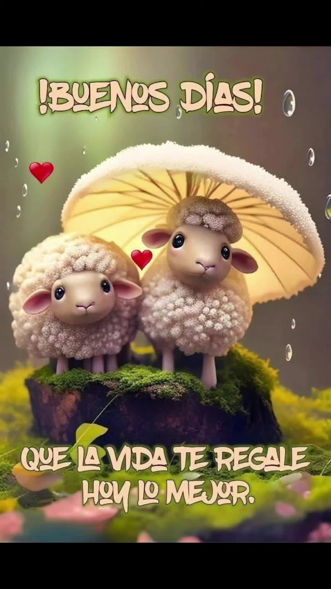 @Iv&aacute;n.