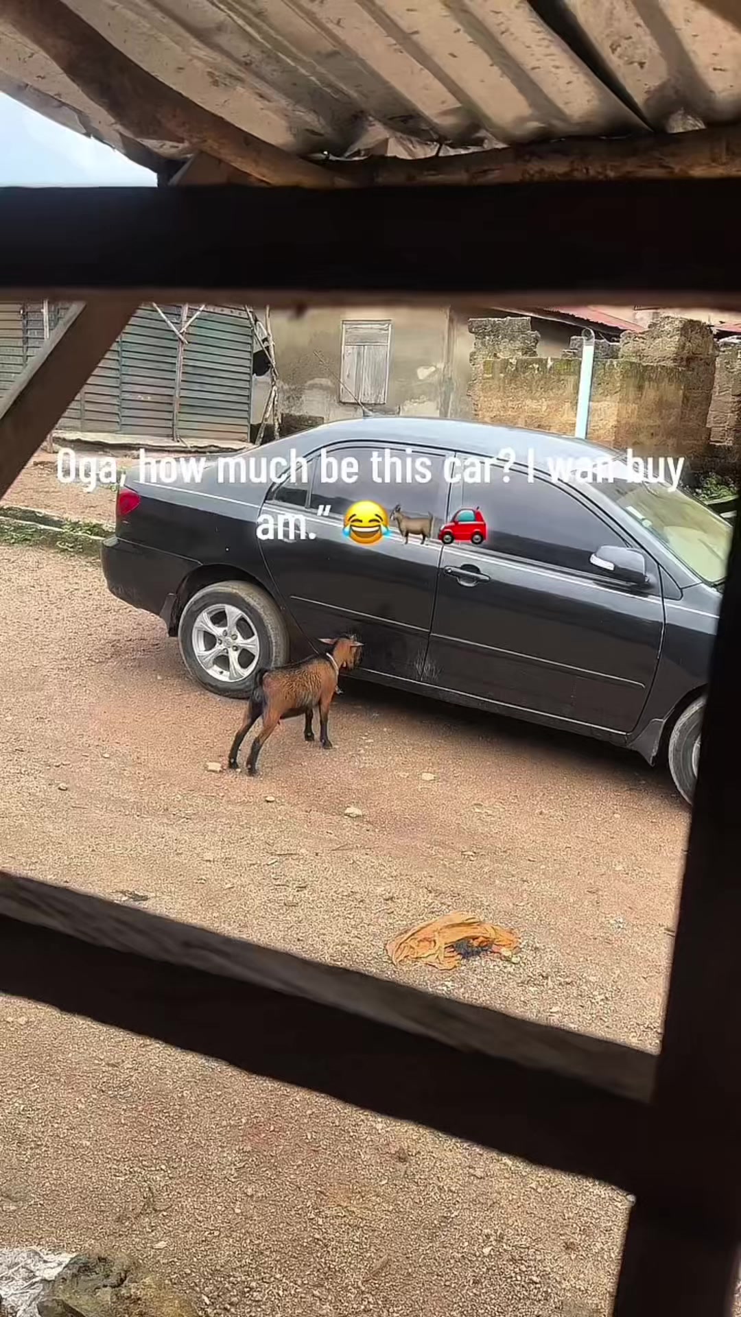 @Protocol🚘🤬💵 backup