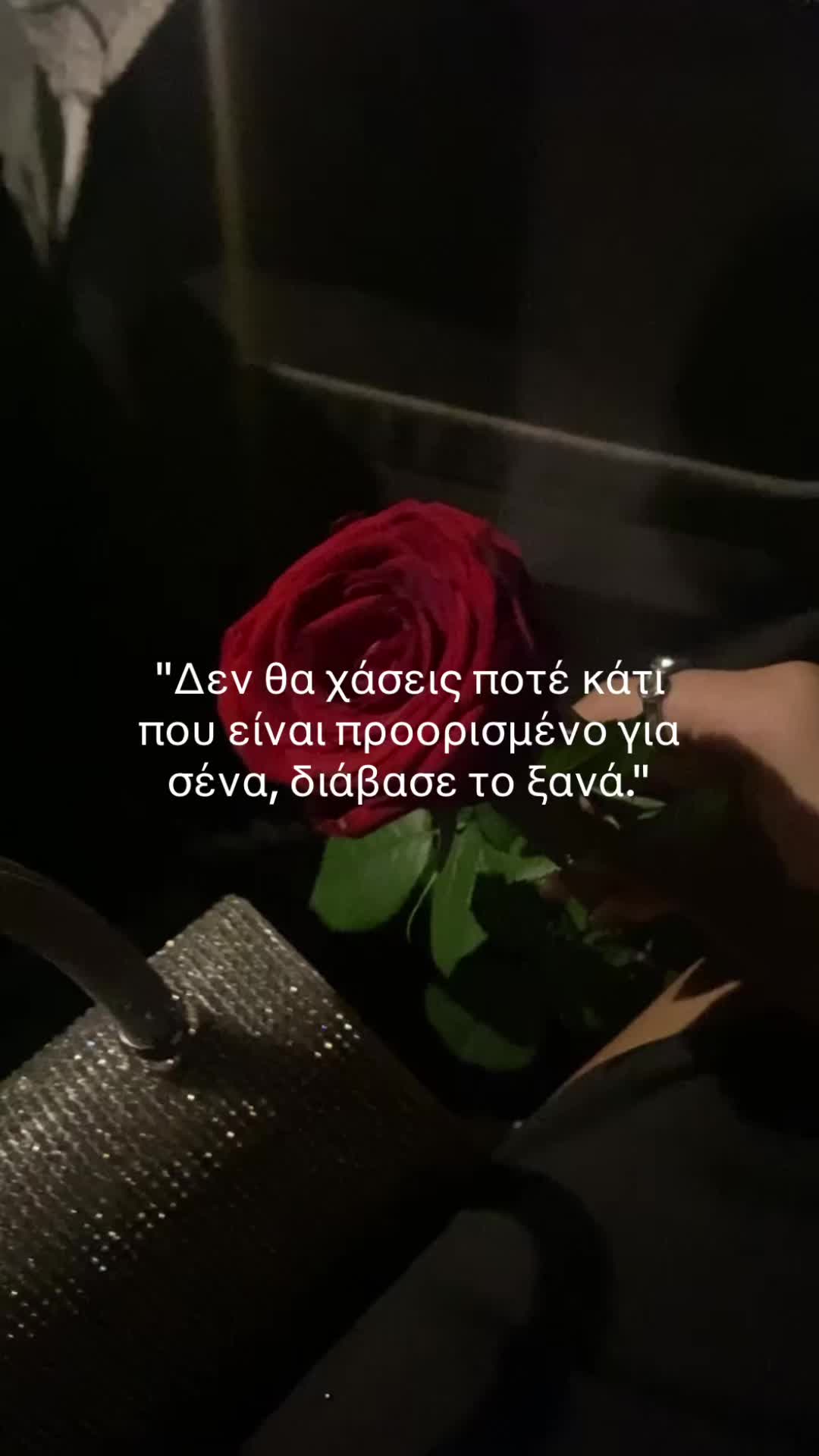 @marinela.rs