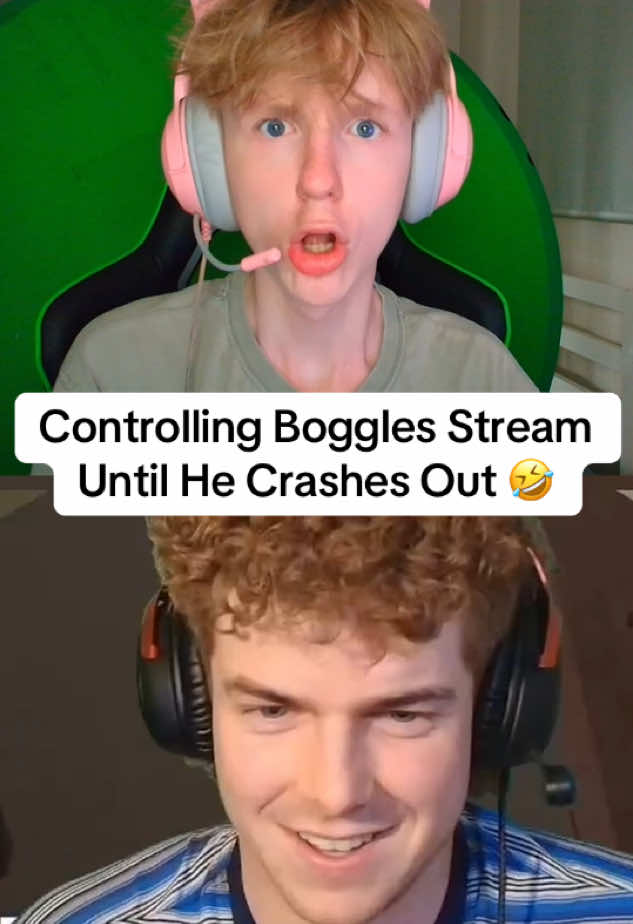 @Tiddles