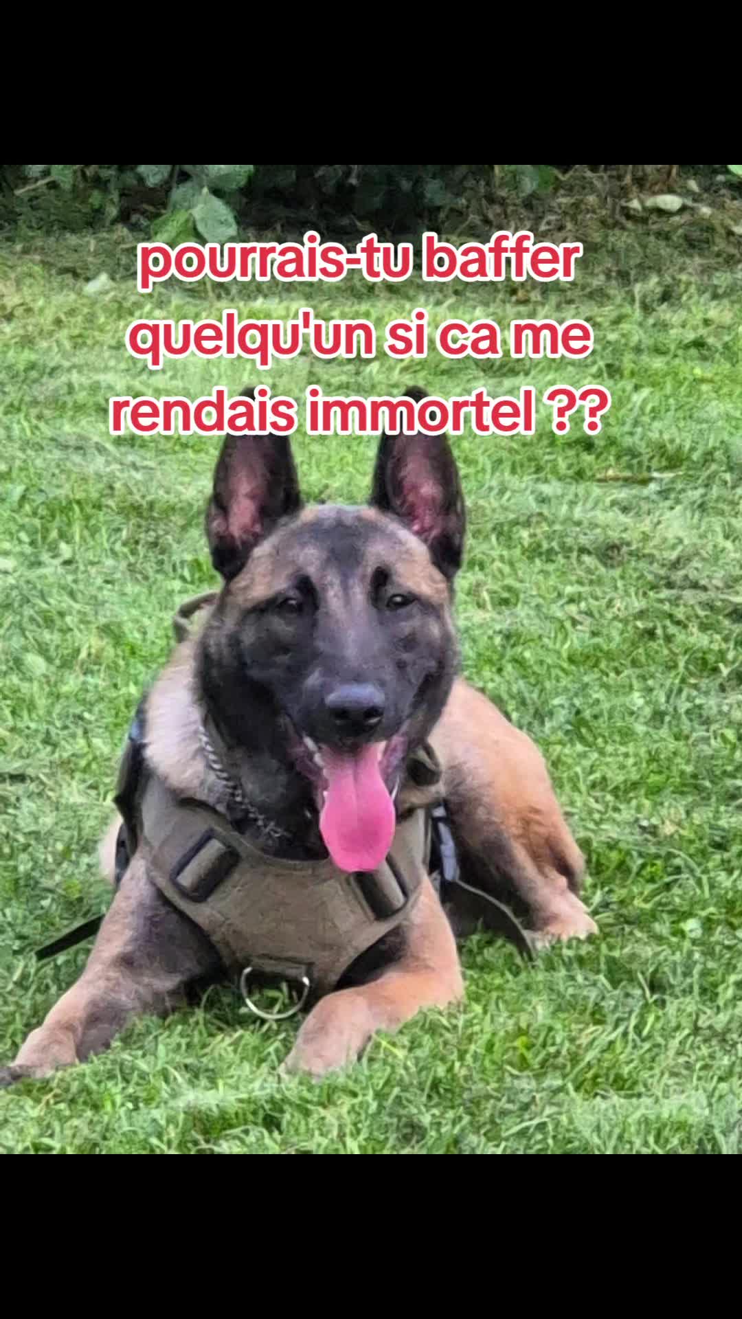 @evelyne