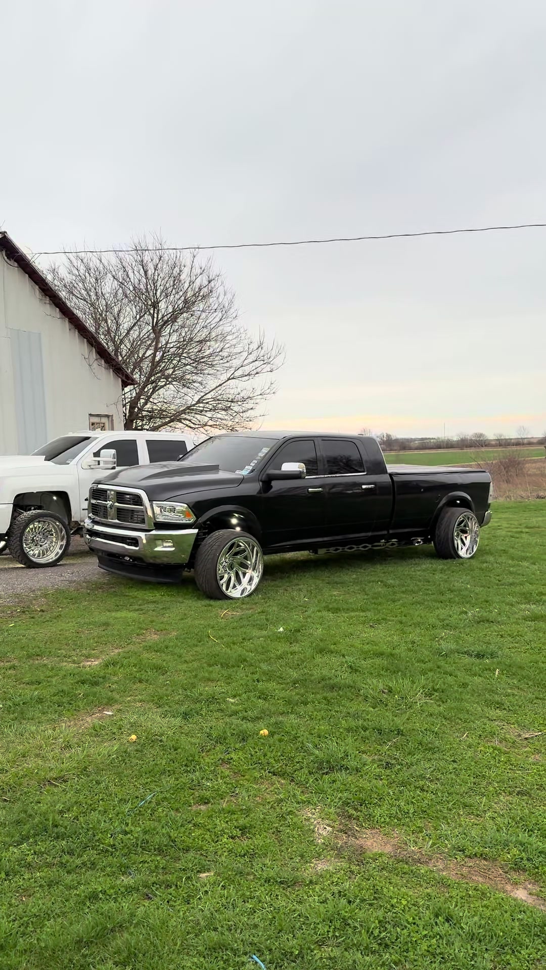 @Wildman_6.7