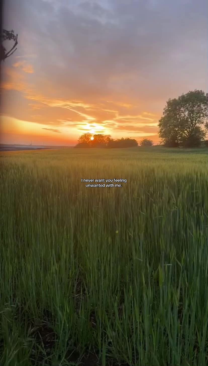 @sǝlʎW مایلز