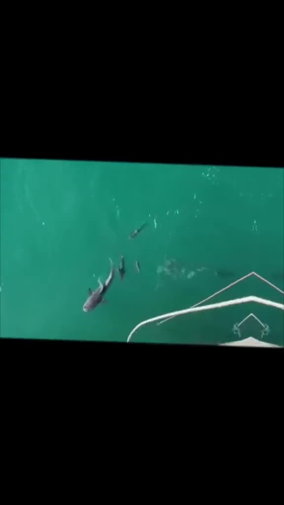 @OkaloosaIslandPier