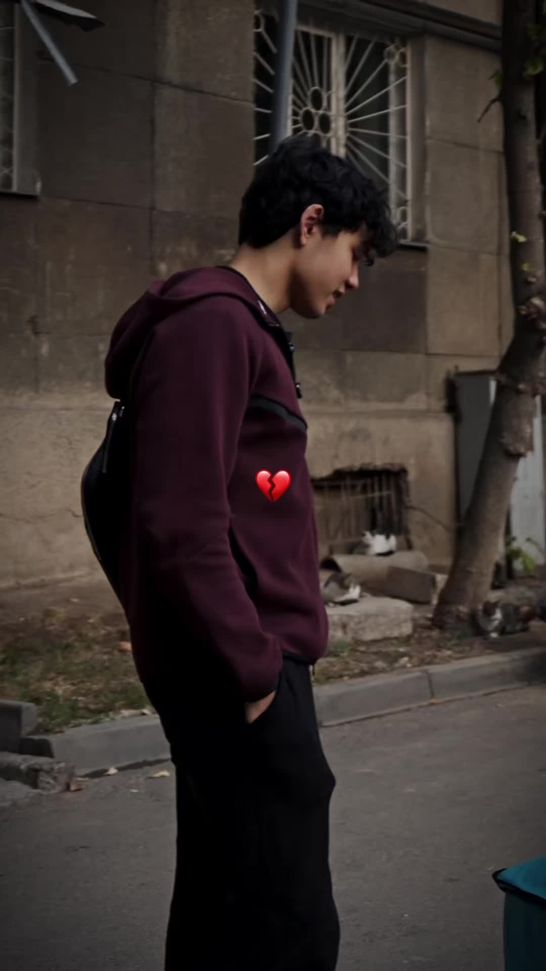 @Shokanov