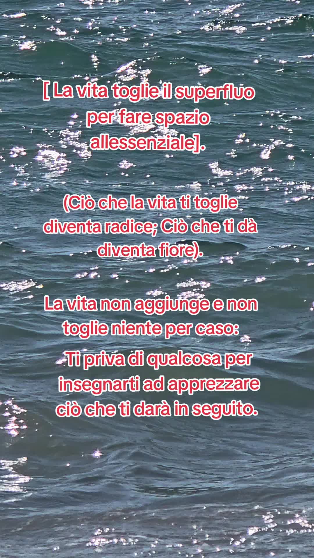 @SofiaSalvatore💖