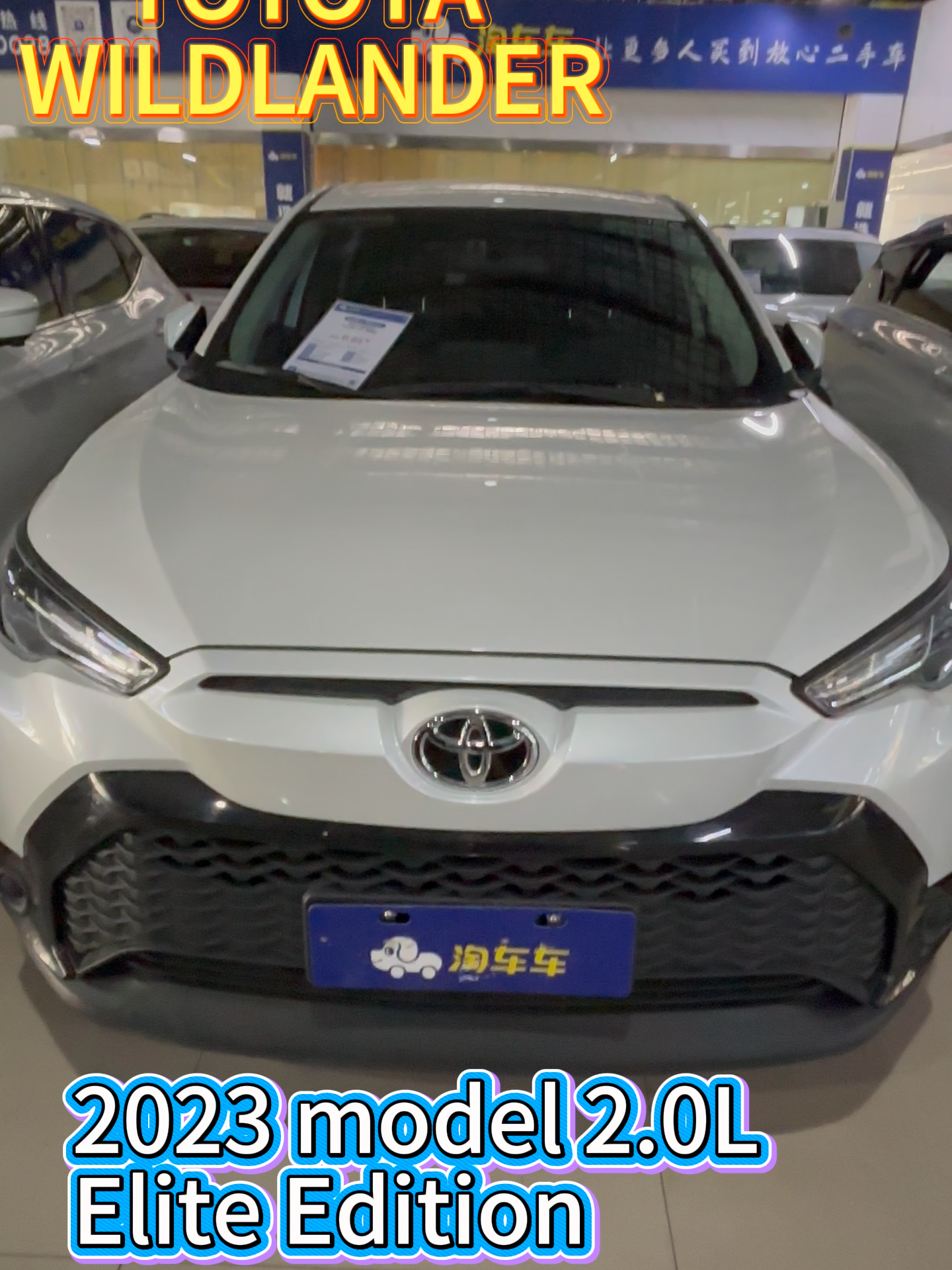 @🇨🇳China Cars exporter🚗