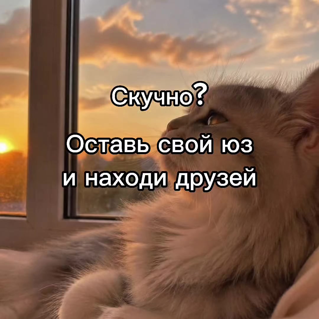@mivrac