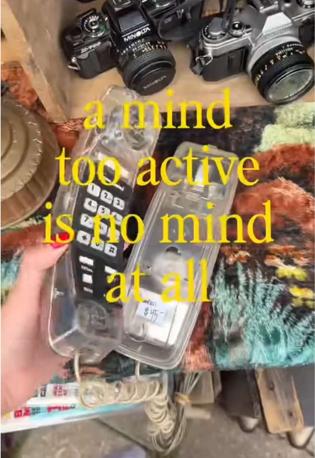 @Vivian Arden