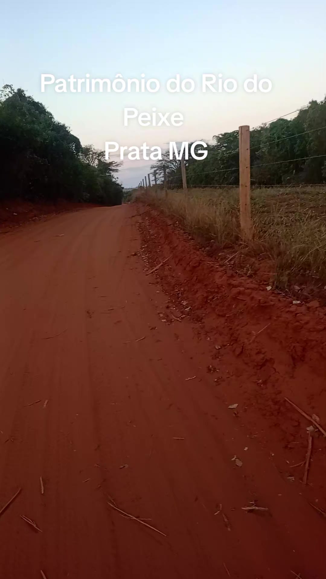 @Adriana Aparecida Si