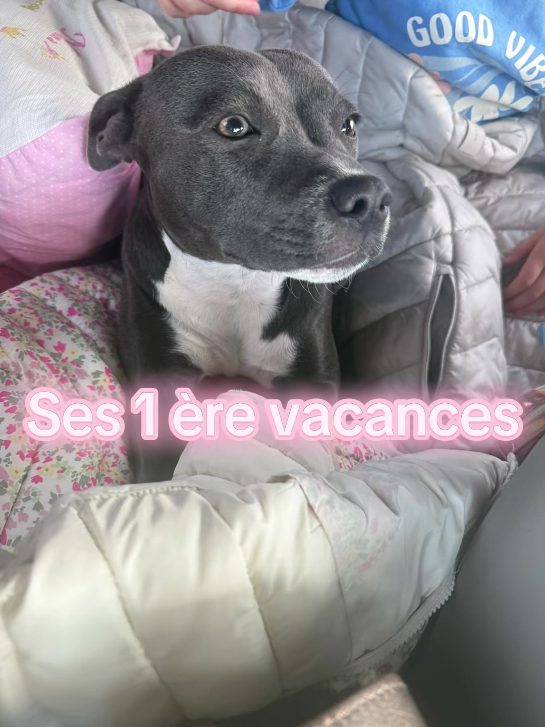 @staffy Alya