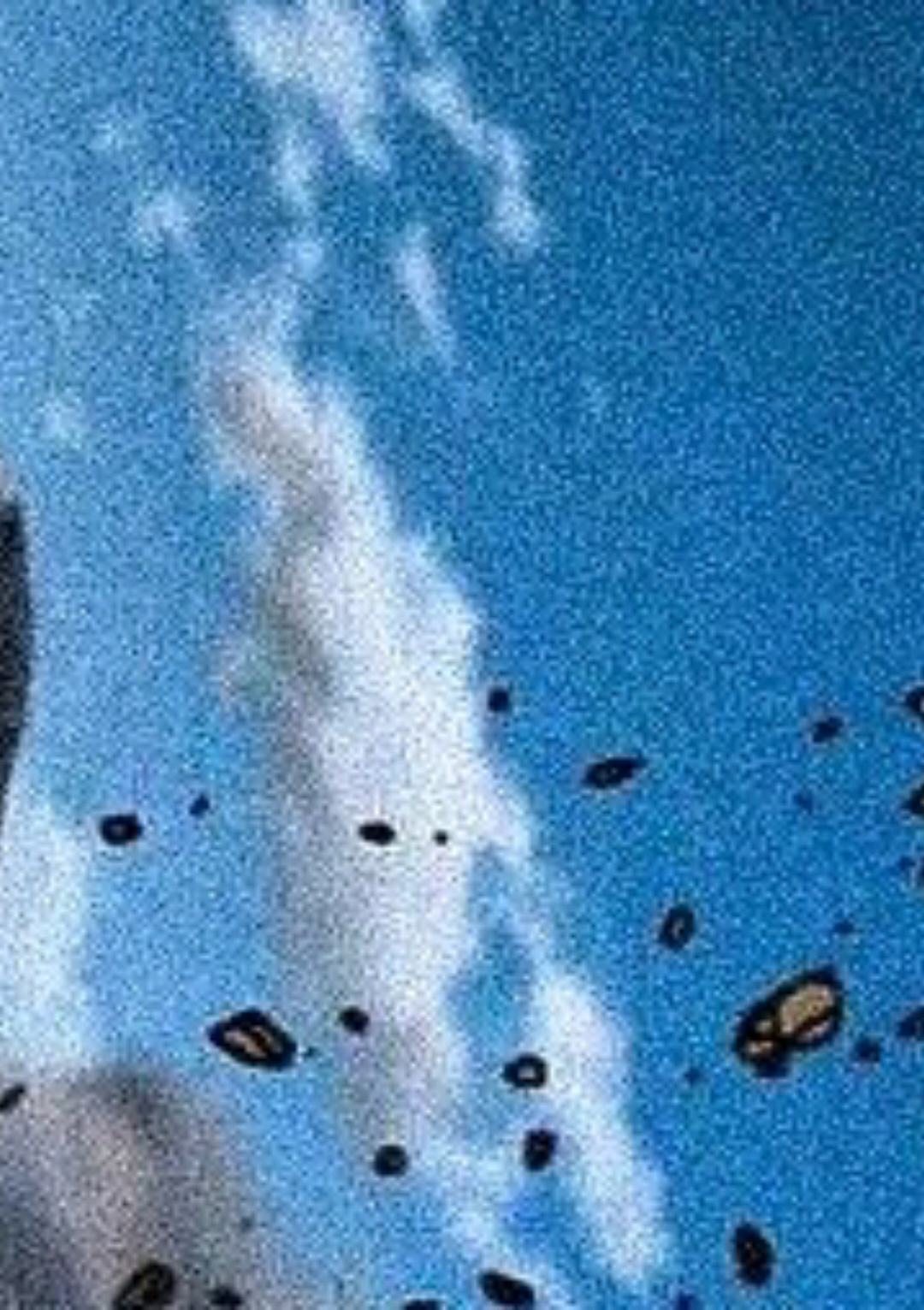 @𝐓𝐡𝐫𝐞𝐞𝟎𝟑.𝐌𝐮𝐬𝐢𝐜