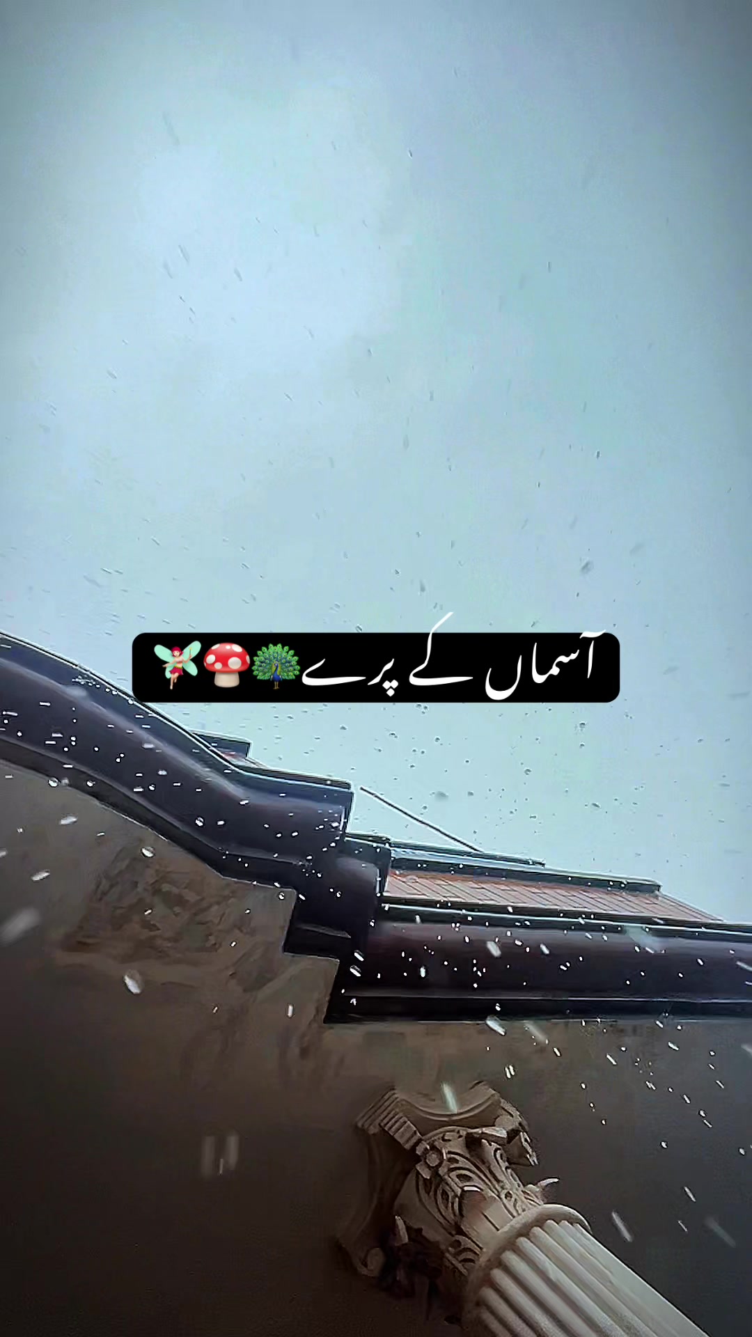 @منڈی سے ہوں یار🦋