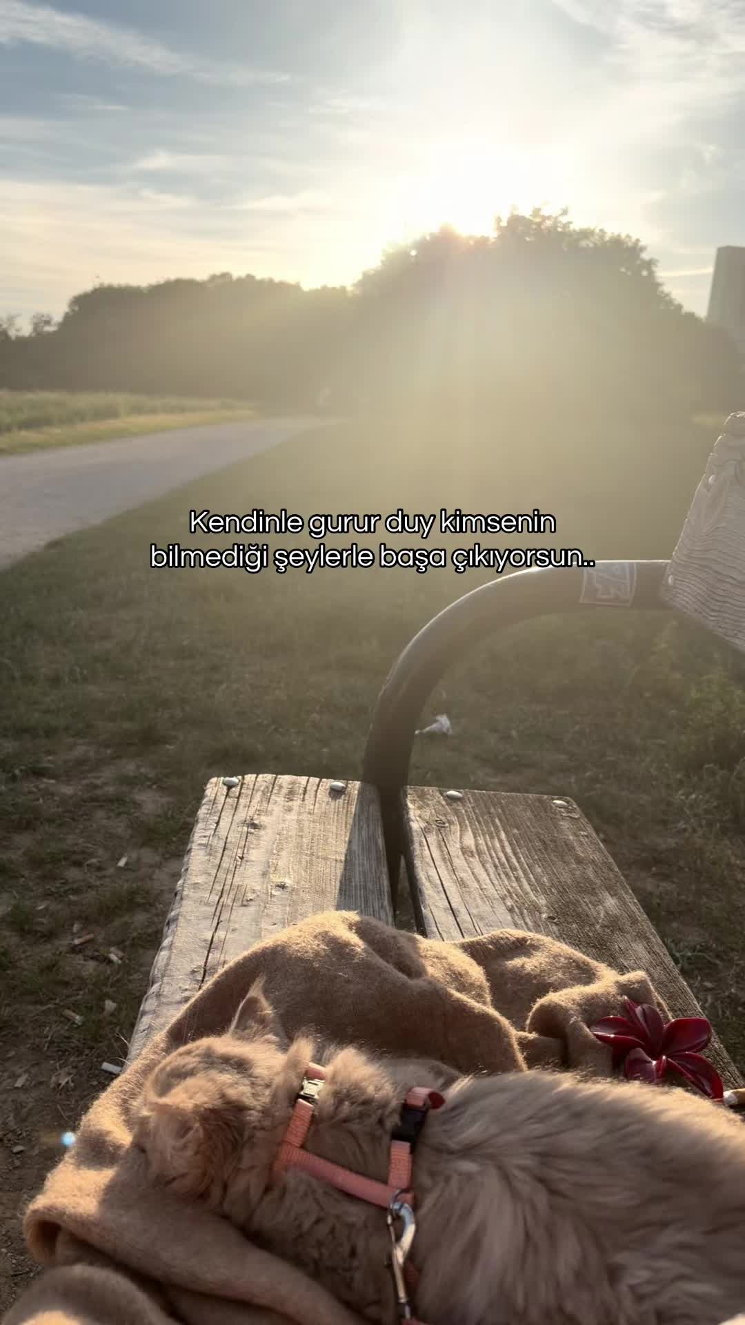 @me1tem.c