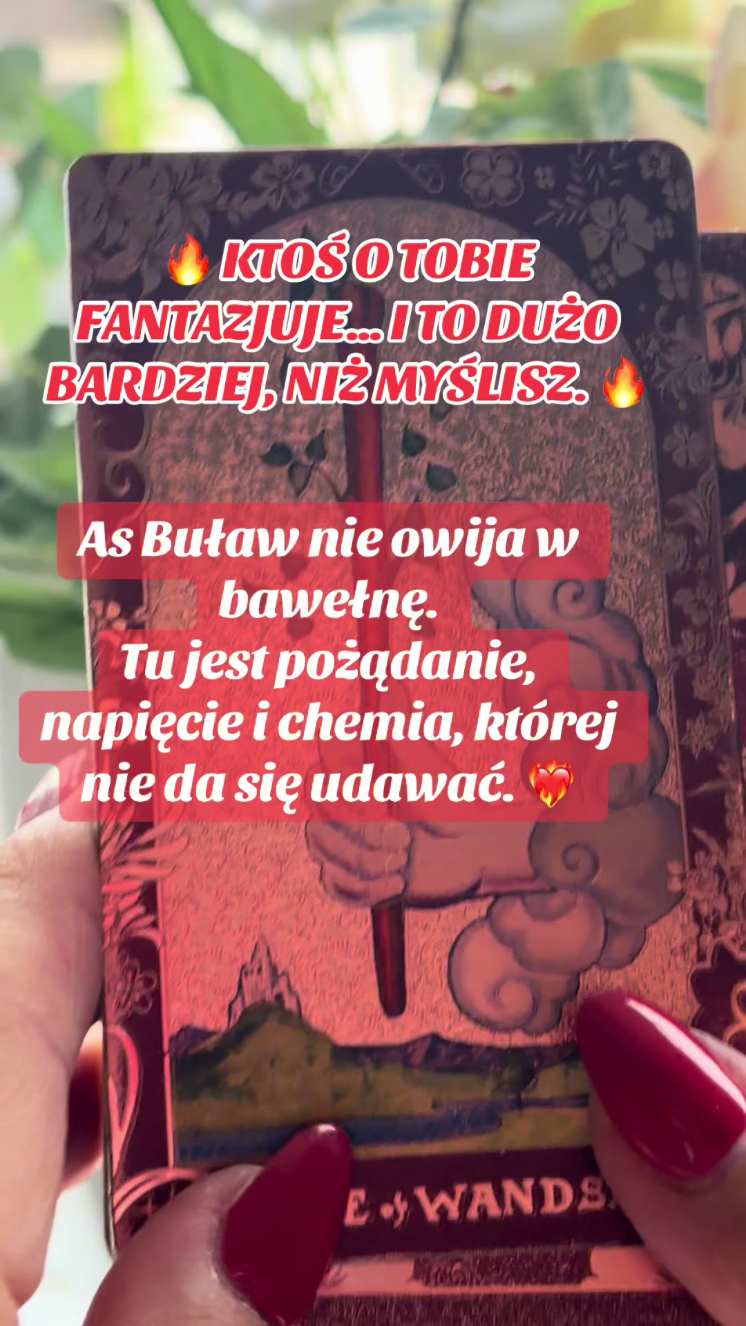 @Beata.tarot.rozkwit.studio2