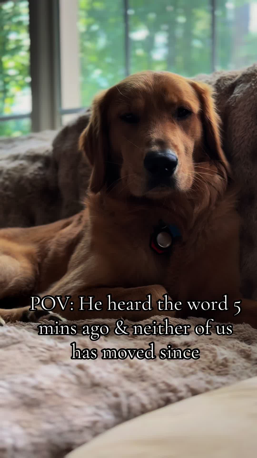 @Charlie the Golden