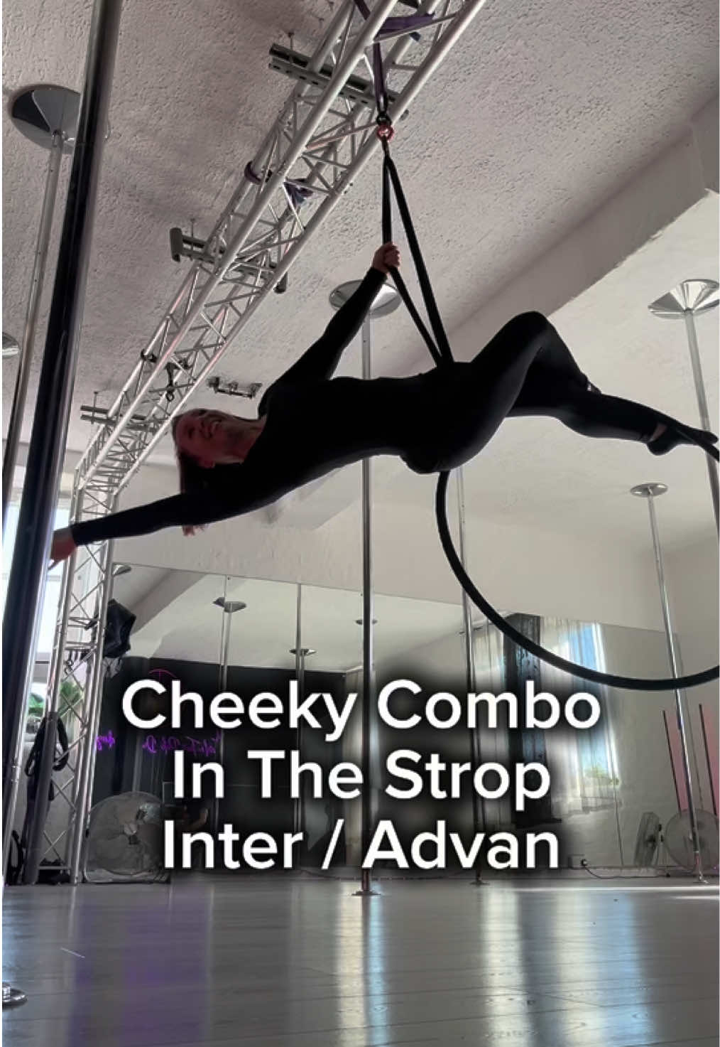 @MichelleT AerialHoop