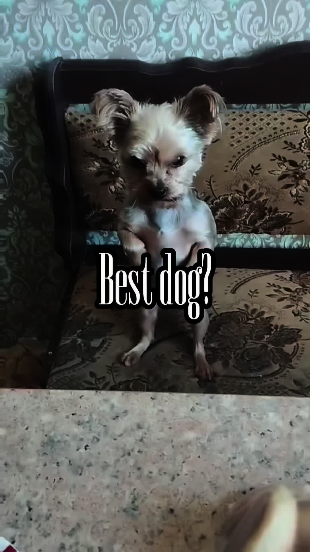 @пичинка
