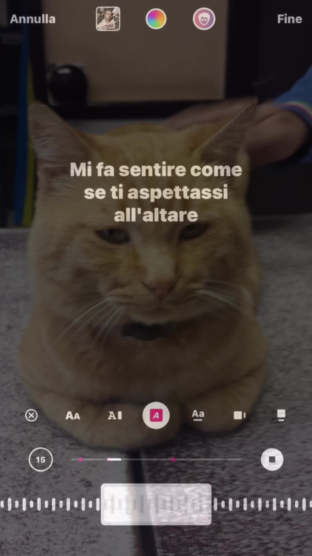 @isabellacatasta04