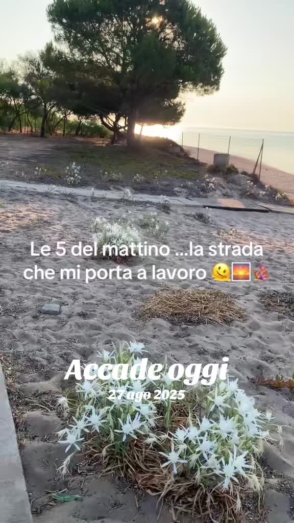 @valeriaauriemma80