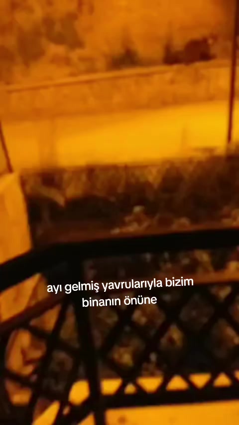 @zalimin kızı 06