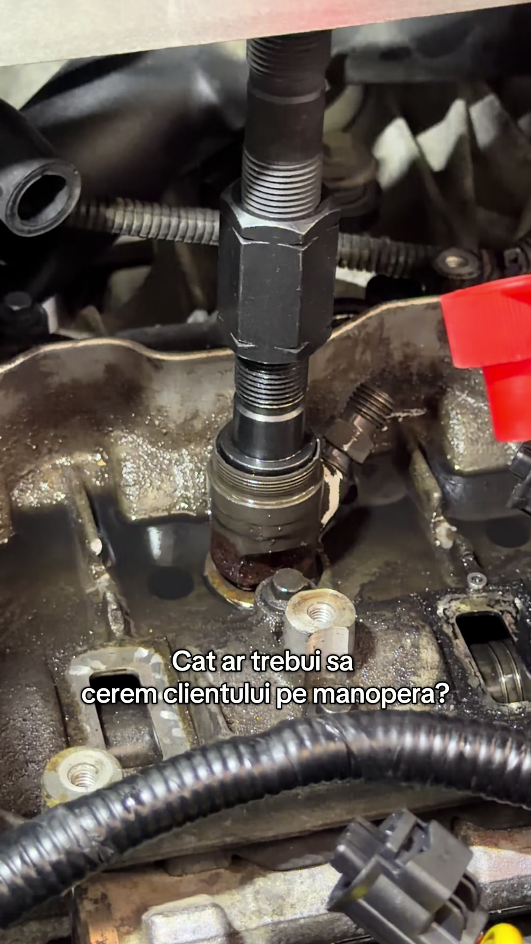 @Turbo Doctor