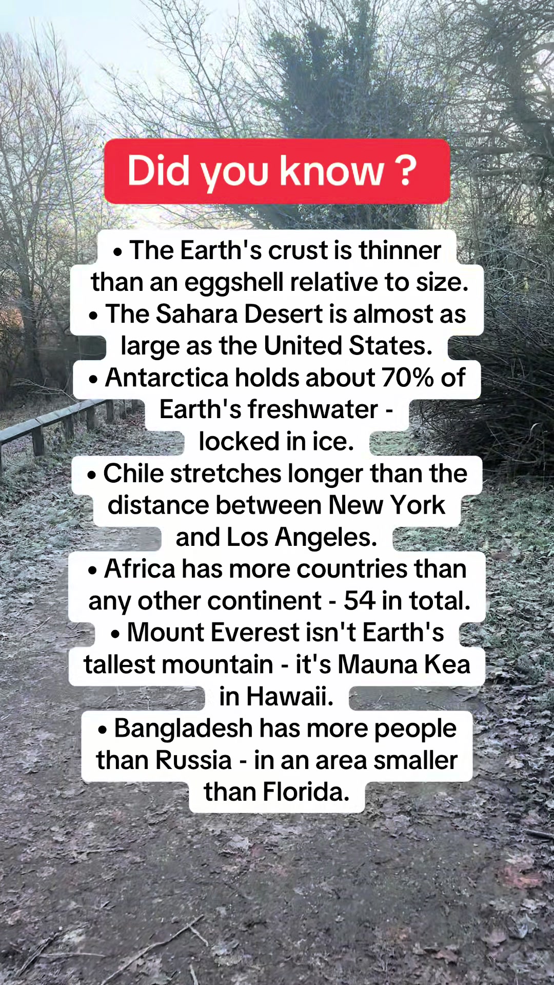 @Daily facts