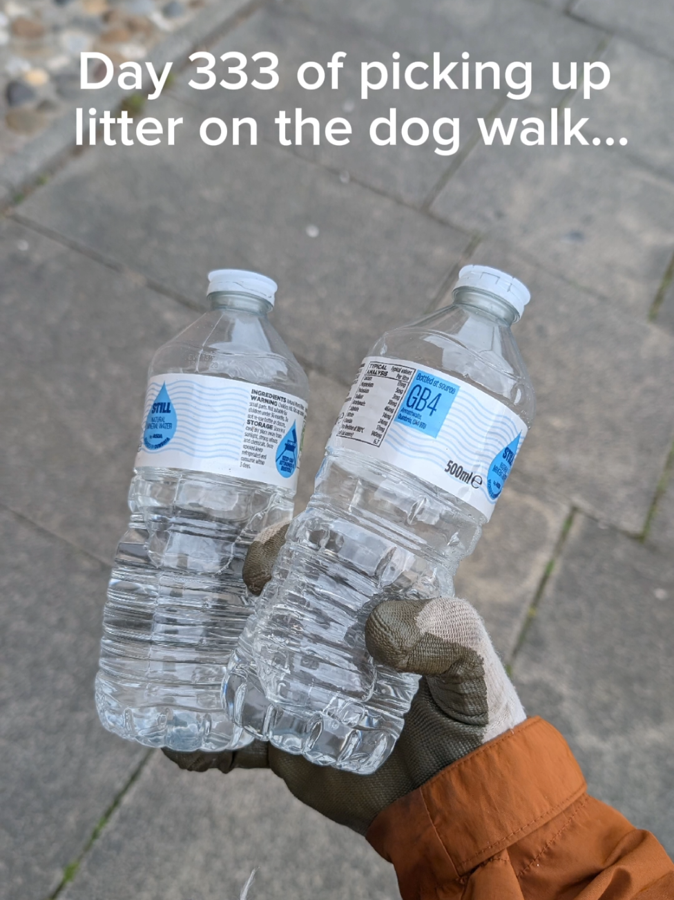 @LitterWalkiesWithRu