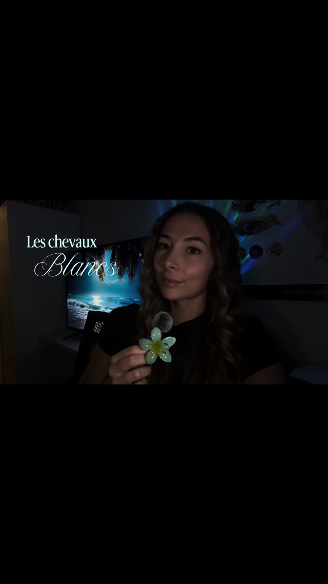 @Animae Ostéo