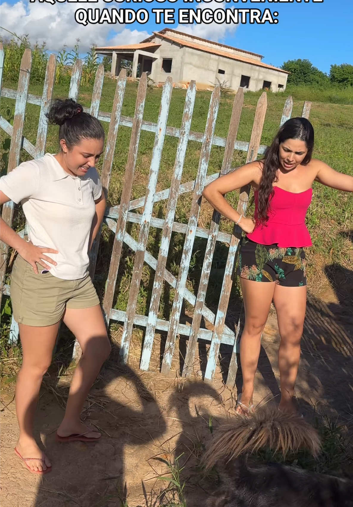 @Mônica Chaves