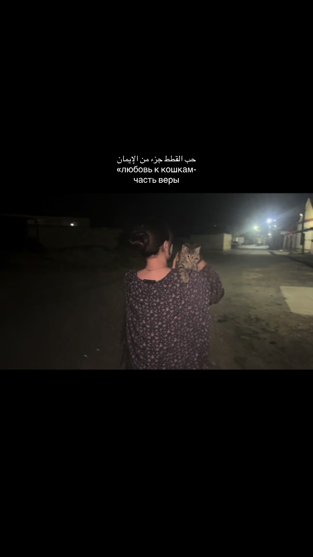 @𝑺𝒂𝒊𝒅𝒖𝒔𝒉𝒌𝒂 ❤️
